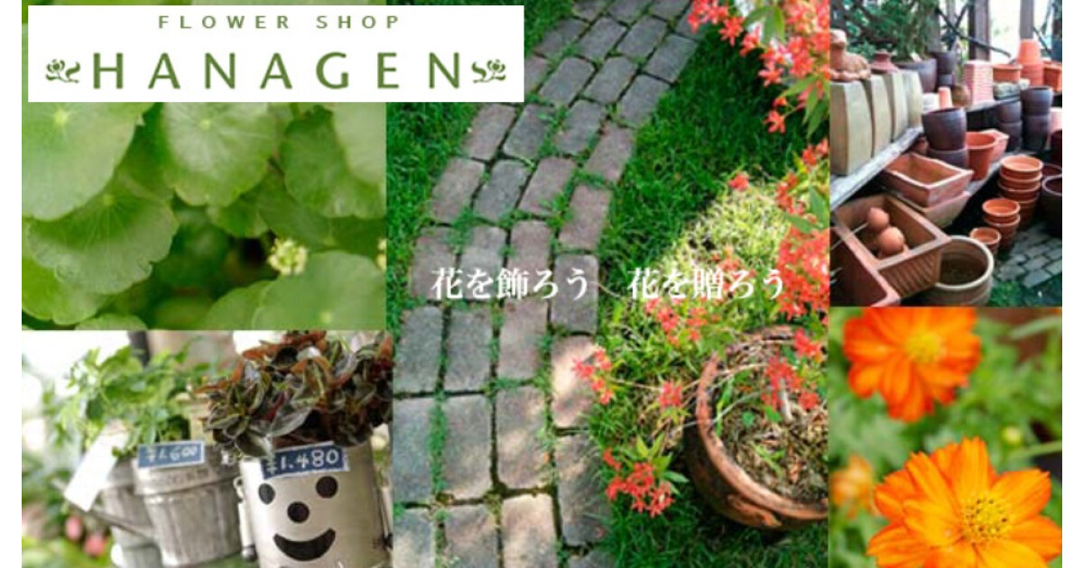 HANAGEN本店の紹介画像