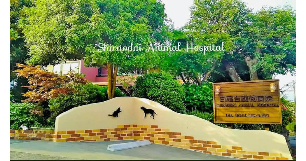 白尾台動物病院の紹介画像