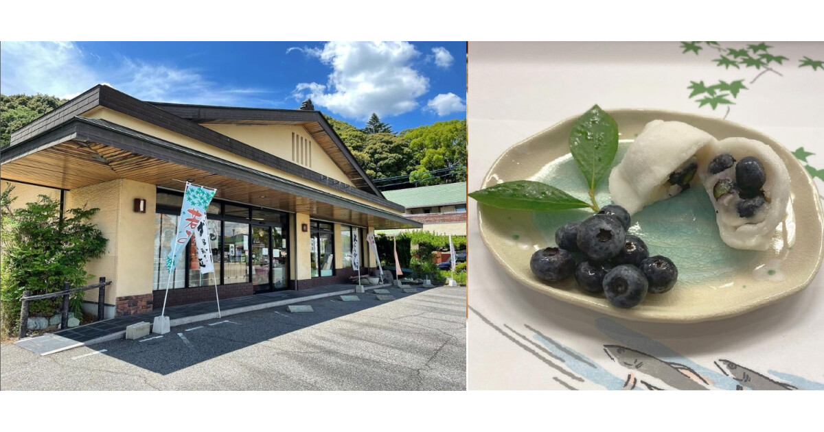 和菓子所 松の家 道宗の紹介画像