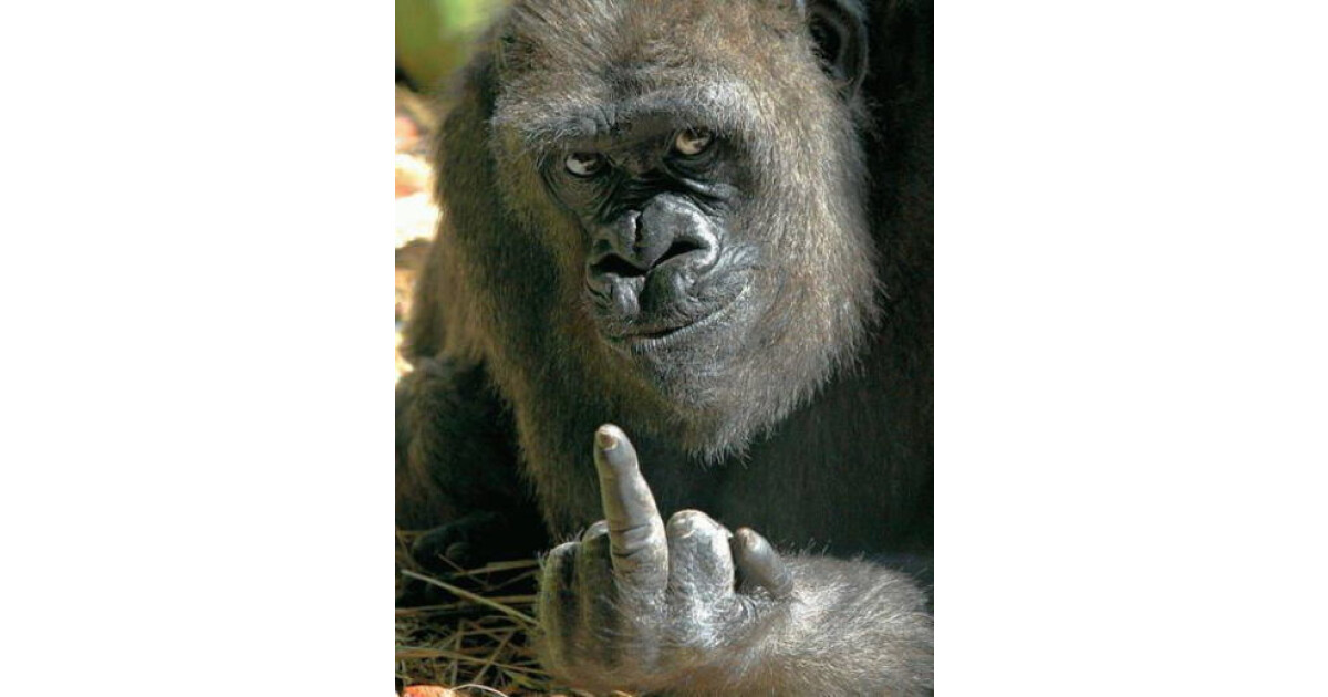 BAR luckyの紹介画像