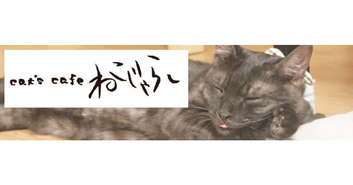 cat’scafeねこじゃらしの紹介画像