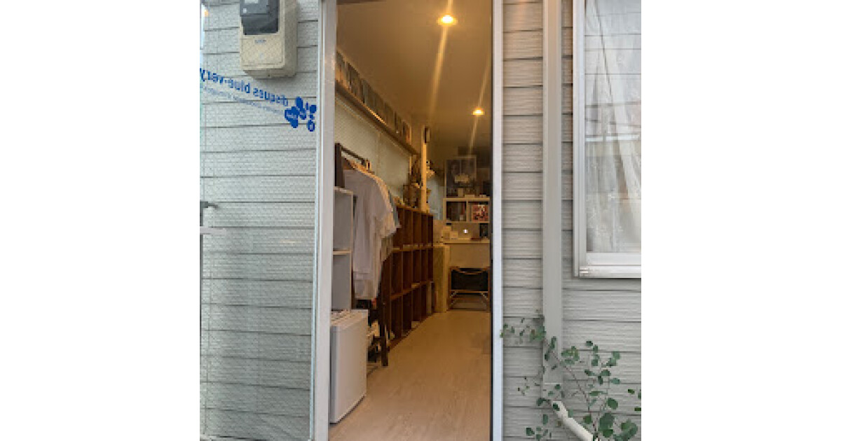 ディスクブルーベリーの紹介画像