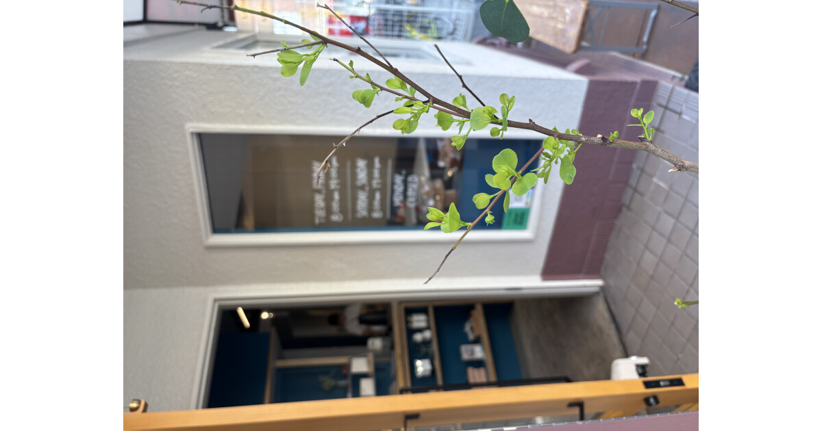 cafe Higoroの紹介画像