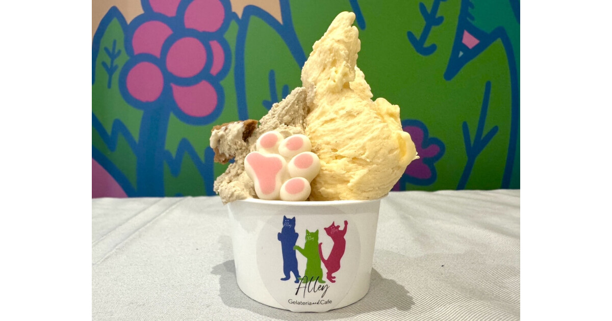 ジェラテリア＆カフェ Alley byスパイシータヌキの紹介画像