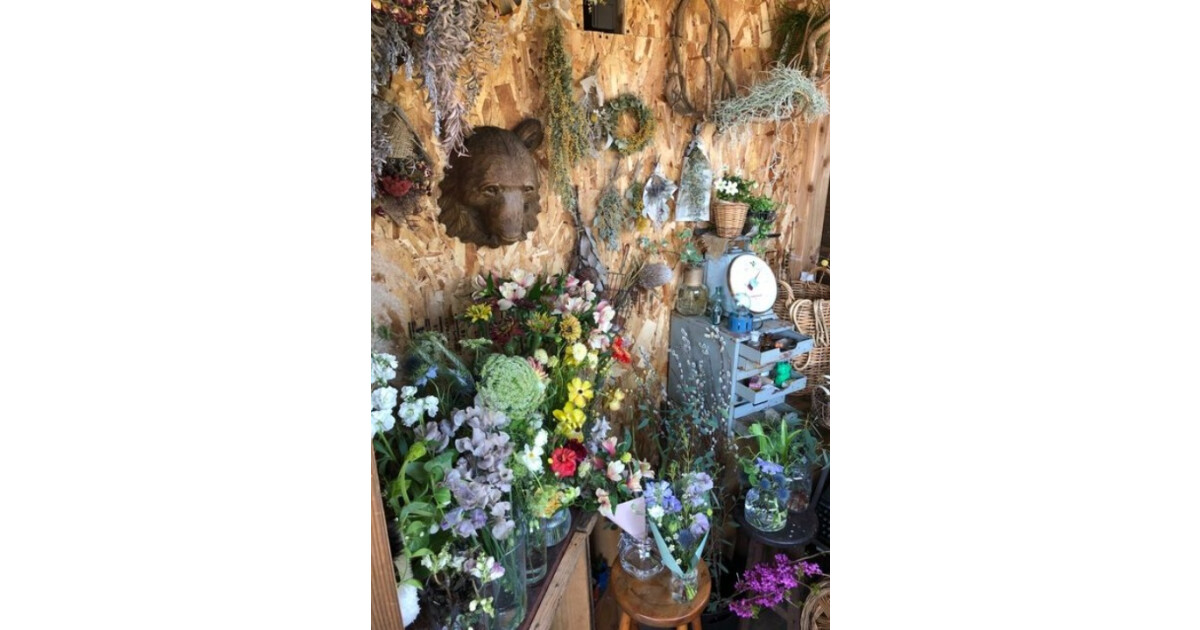 植物雑貨店　三粒（さんつぶ）にタネの紹介画像