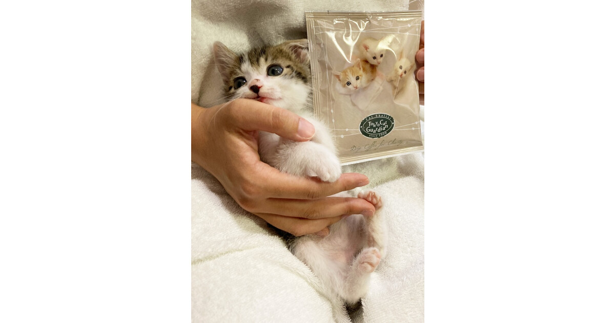 NPO法人東京キャットガーディアンの紹介画像