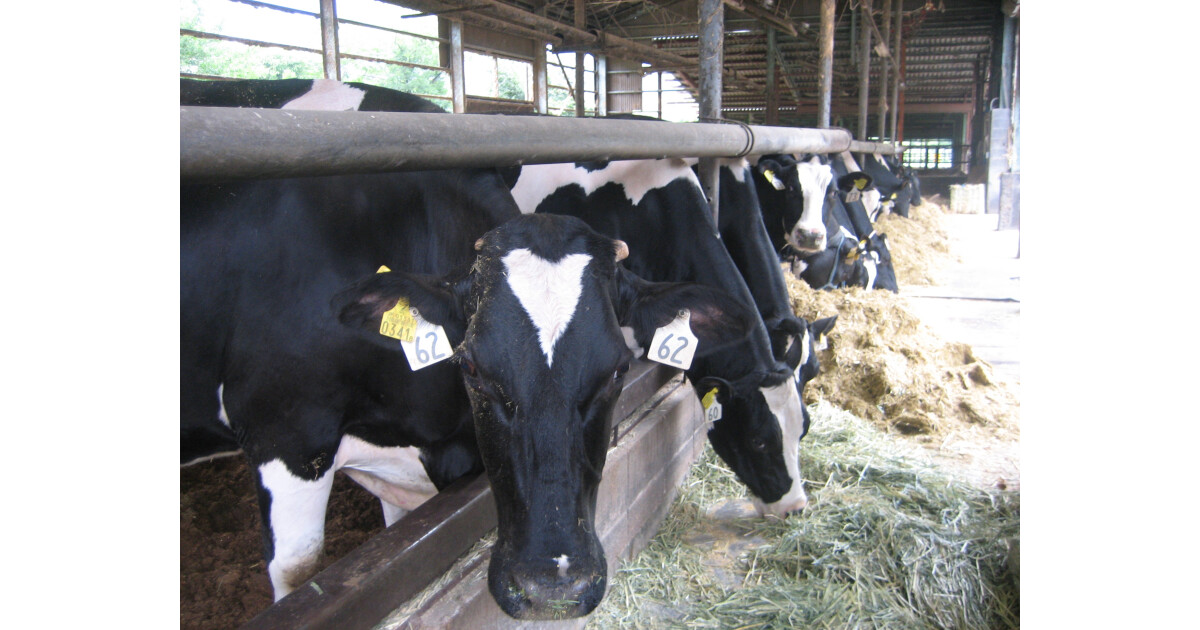 しおのえふじかわ牧場　本店の紹介画像
