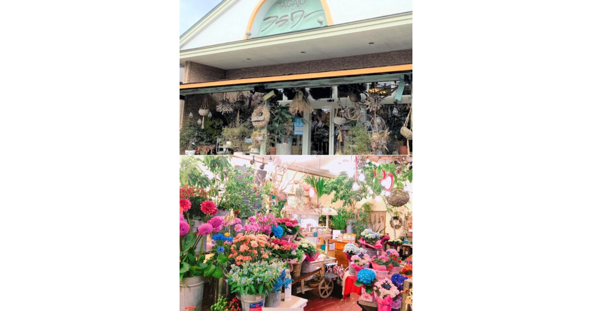 多賀城フラワーの紹介画像