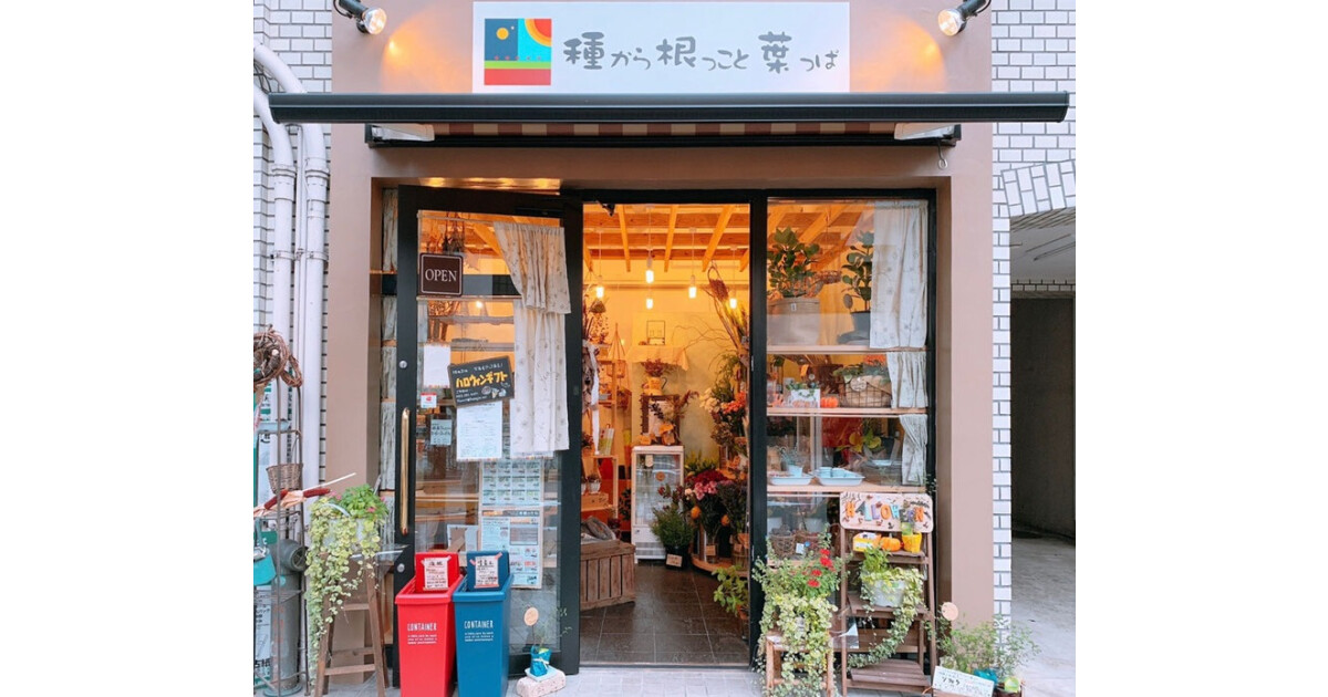 種～根っこと葉っぱの紹介画像