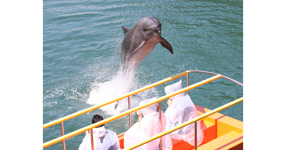 下田海中水族館の紹介画像
