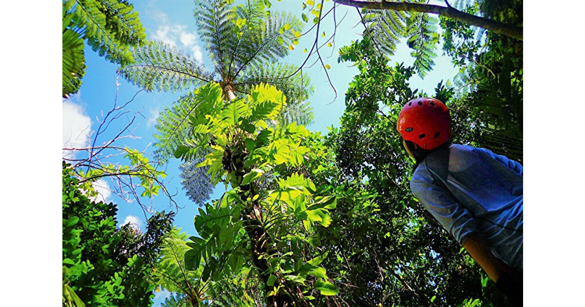 motti西表島トレッキングエコツアーの紹介画像