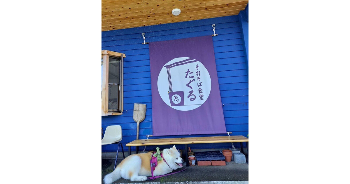 手打そば食堂　たぐるの紹介画像